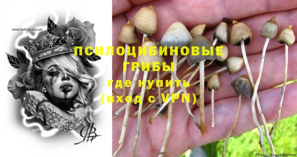 кокаин премиум Ельня