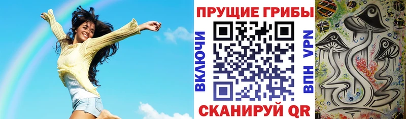 Купить  Богородицк  Галлюциногенные грибы MAGIC MUSHROOMS 