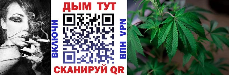 Каннабис семена Купить закладки Богородицк